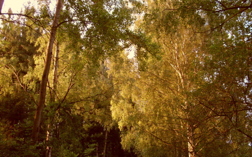 609569 (a): :1920x1200